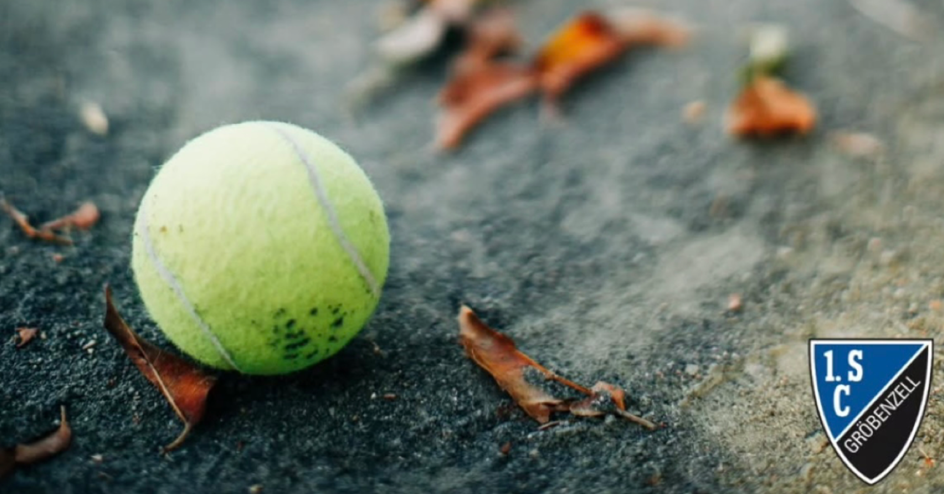 Tennisball auf Asphalt mit Herbstlaub