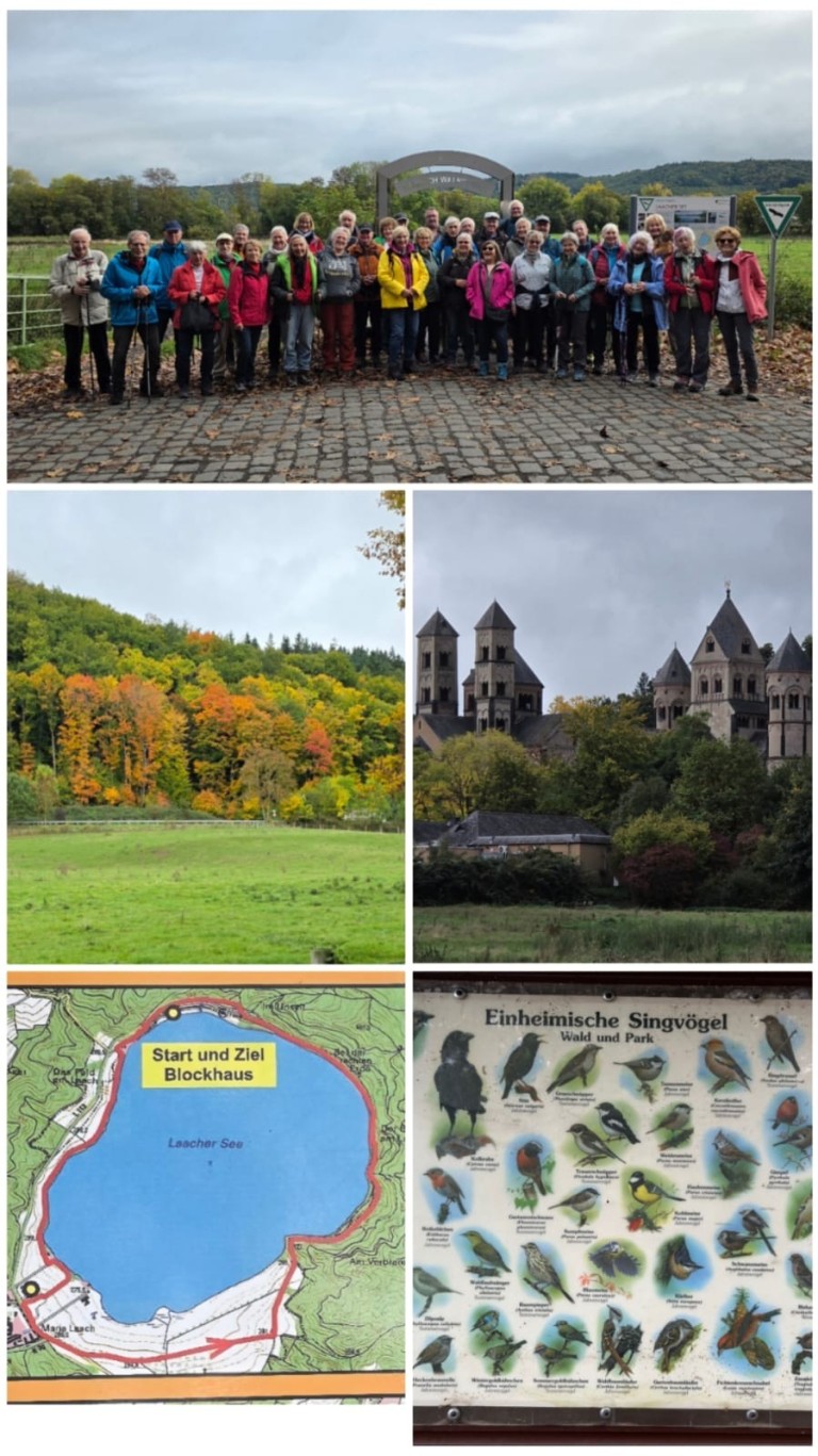 Collage von Tag 1 der Wanderfreizeit 2025 mit Gruppenfoto, herbstlicher Landschaft, Abtei Maria Laach, Wanderkarte und Infotafel zu einheimischen Singvögeln