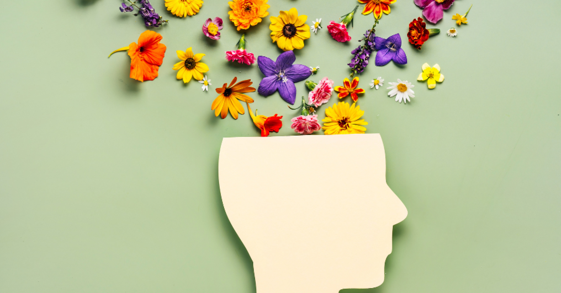 Silhouette eines Kopfes mit bunten Blumen auf grünem Hintergrund