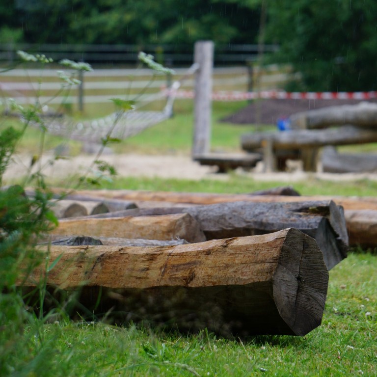 Holzstämme auf einer Wiese in einem naturnahen Spielplatz mit Hängematte im Hintergrund