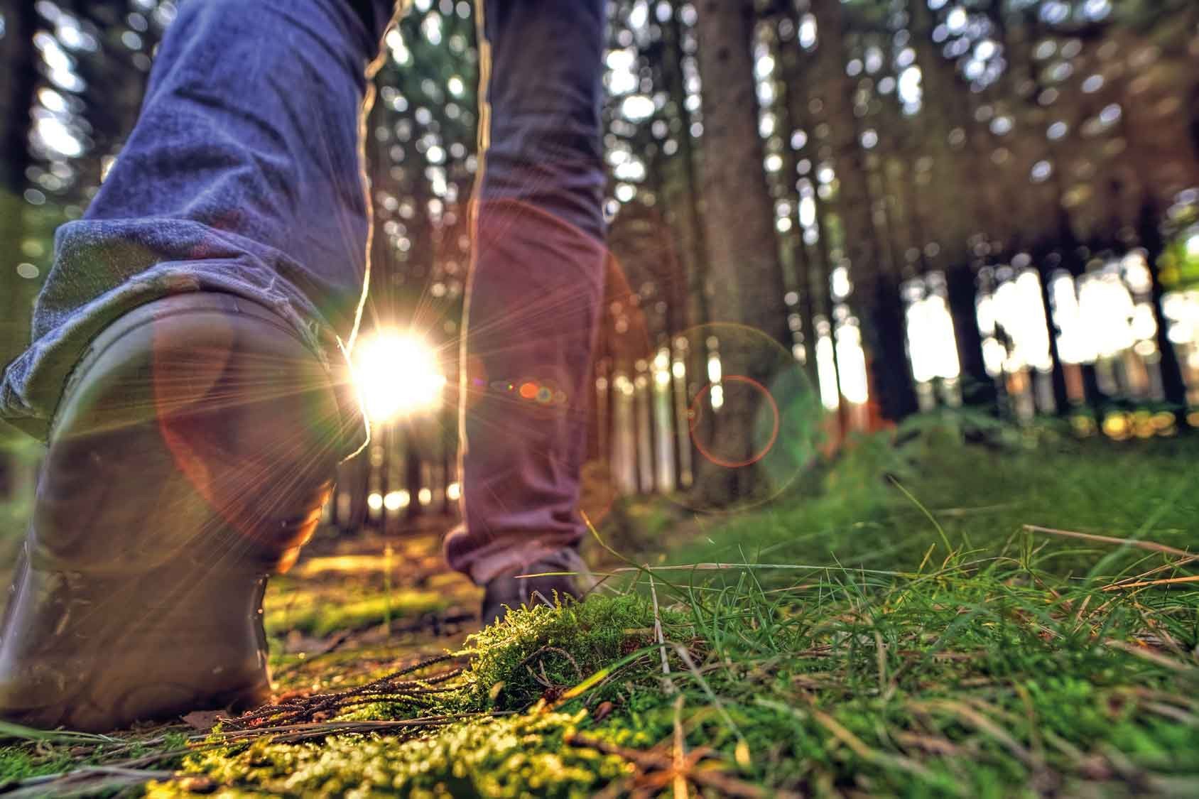 Das grüne Hannover lädt zur Entdeckungstour ein und hat viel zu bieten. Foto: © Miredi – Fotolia.com Das grüne Hannover lädt zur Entdeckungstour ein und hat viel zu bieten. Foto: © Miredi – Fotolia.com