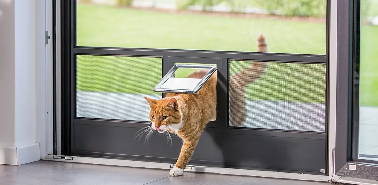 Eine orangefarbene Katze betritt das Haus durch eine transparente Katzenklappe in einer Insektenschutz-Terassentür