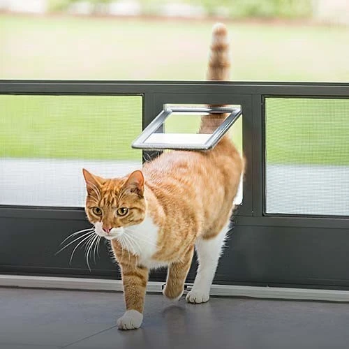 Getigerte Katze geht durch transparente Katzenklappe, die in eine Insektenschutz-Tür eingebaut ist