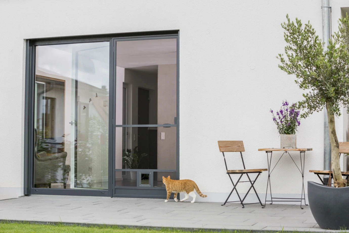 Katze geht durch eine Insektenschutz-Schiebetür mit transparenter Katzenklappe von einer modernen Terrasse ins Haus