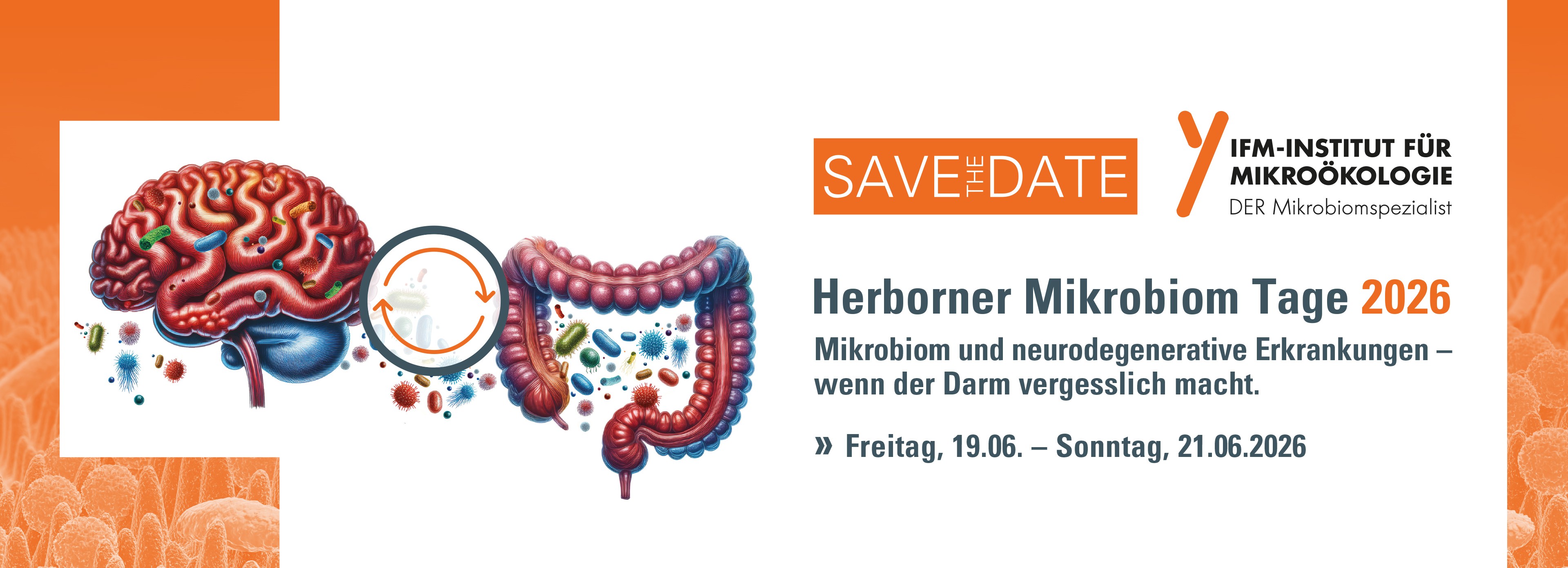 Grafik eines Darms mit bunten Mikroorganismen und Save the Date Hinweis für Herborner Mikrobiom Tage 2026